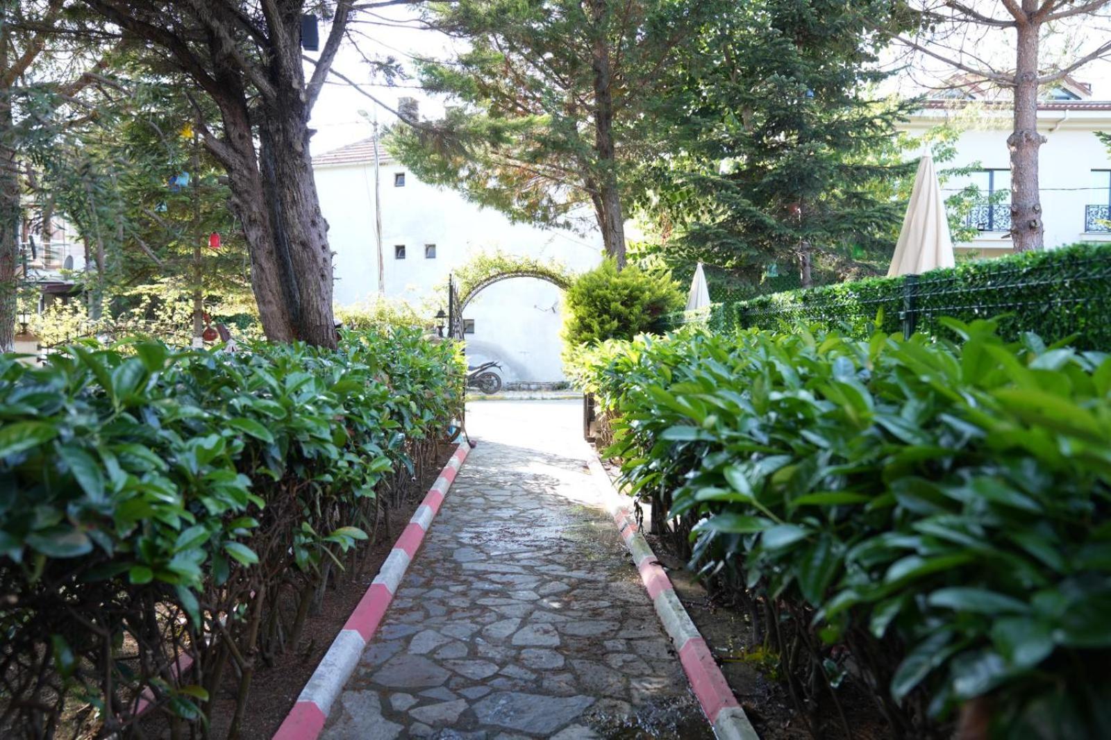 Butterfly Boutique Hotel Agva Exterior photo